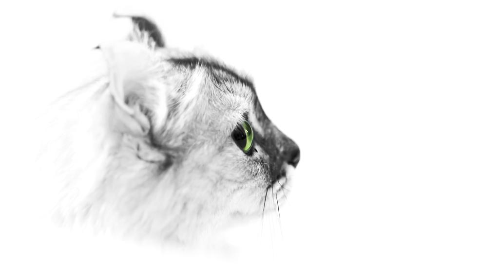 Living Environment Adaptability icon