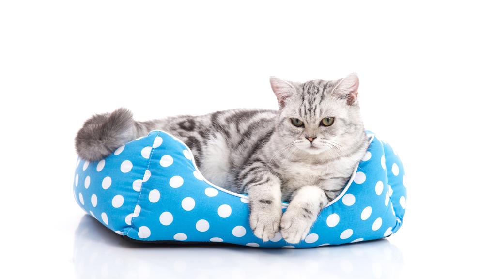 Grooming & Health icon