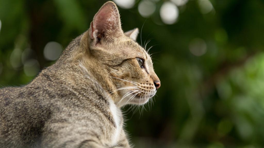 Long-Term Commitment & Special Considerations icon