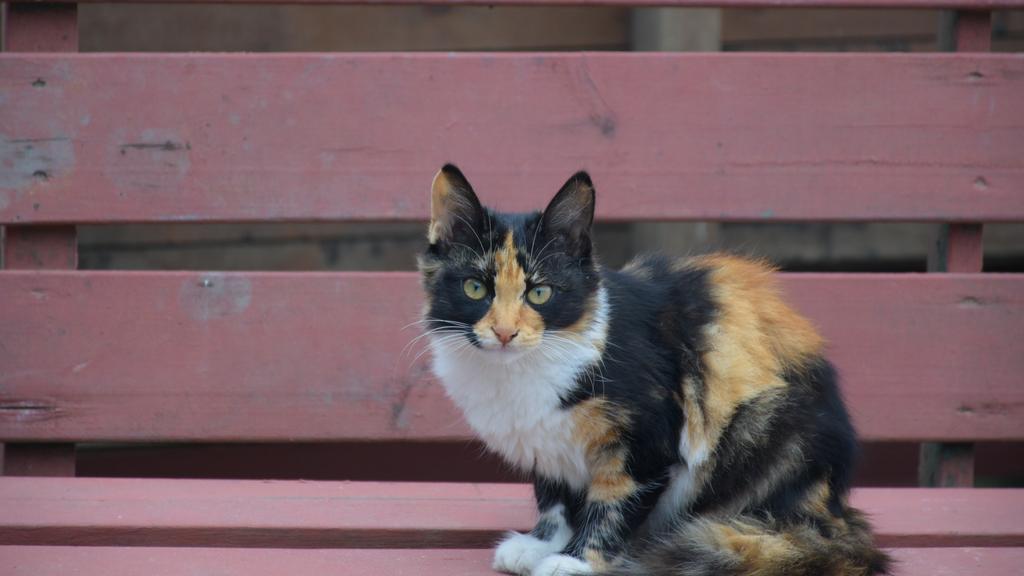 Living Environment Adaptability icon