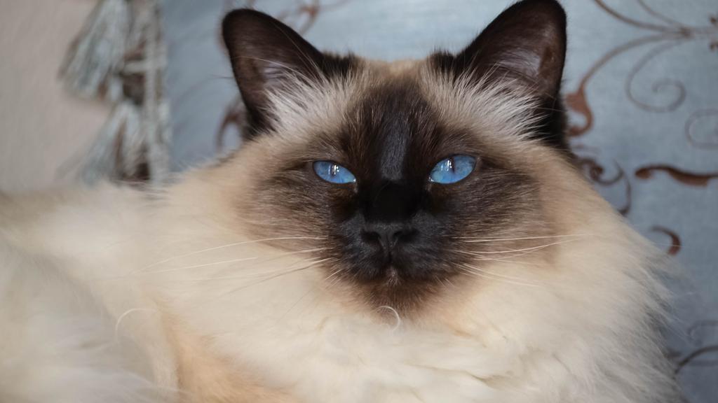 Life Stage Considerations icon