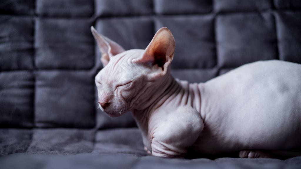 Long-Term Commitment & Special Considerations icon