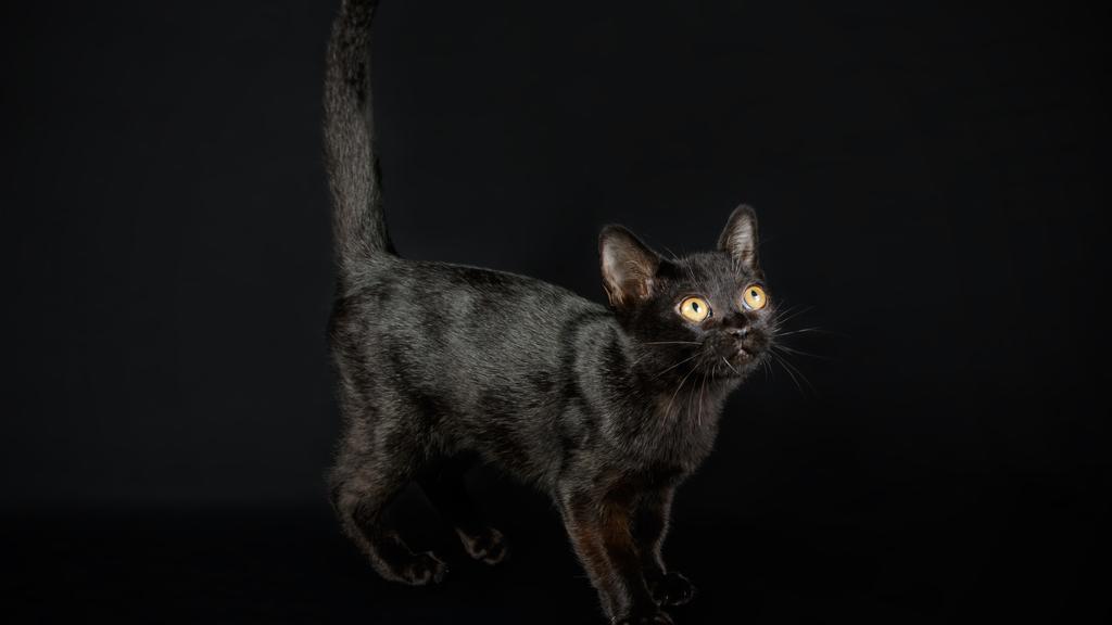 Financial Considerations icon