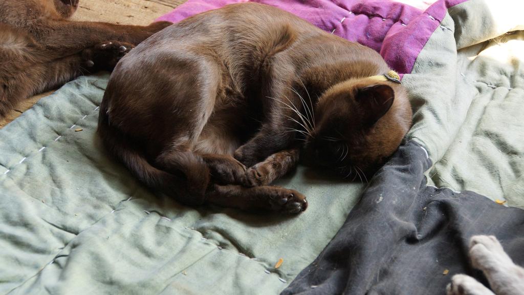 Financial Considerations icon