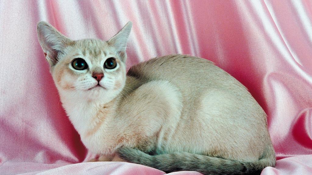 Living Environment Adaptability icon