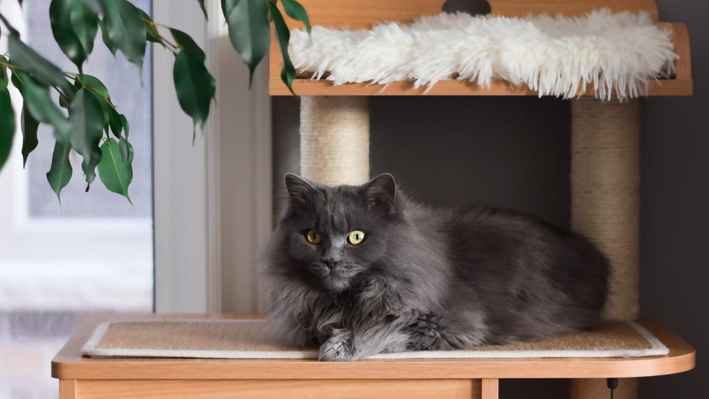 Living Environment Adaptability icon