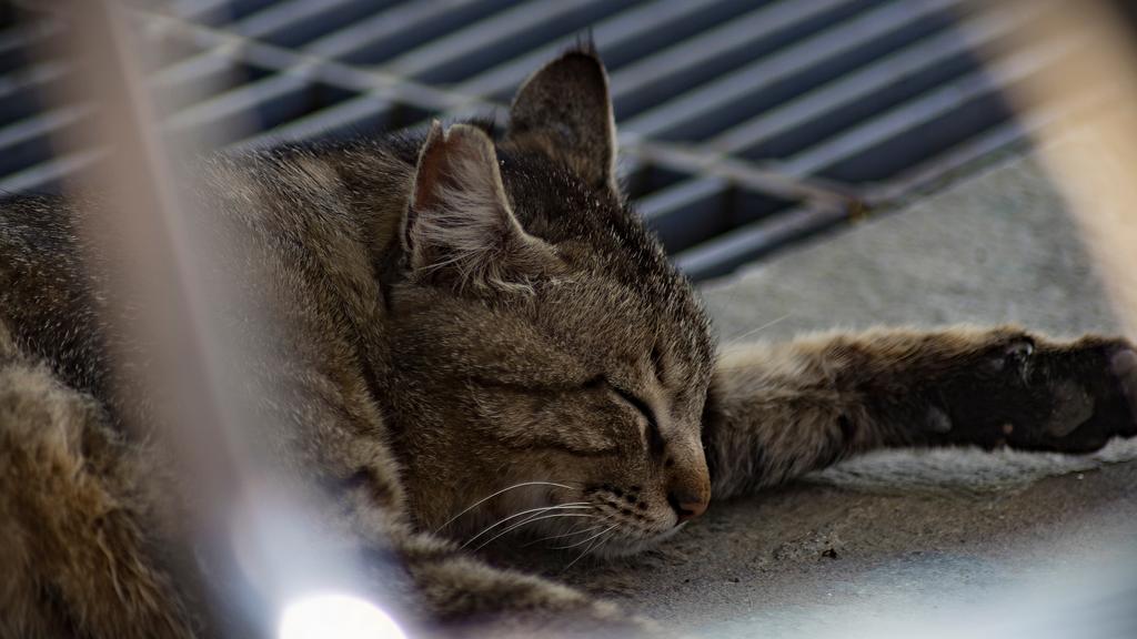 Basic Information icon