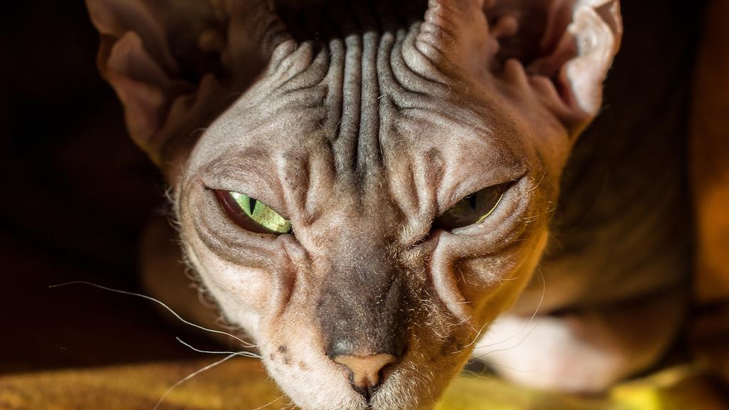 Financial Considerations icon