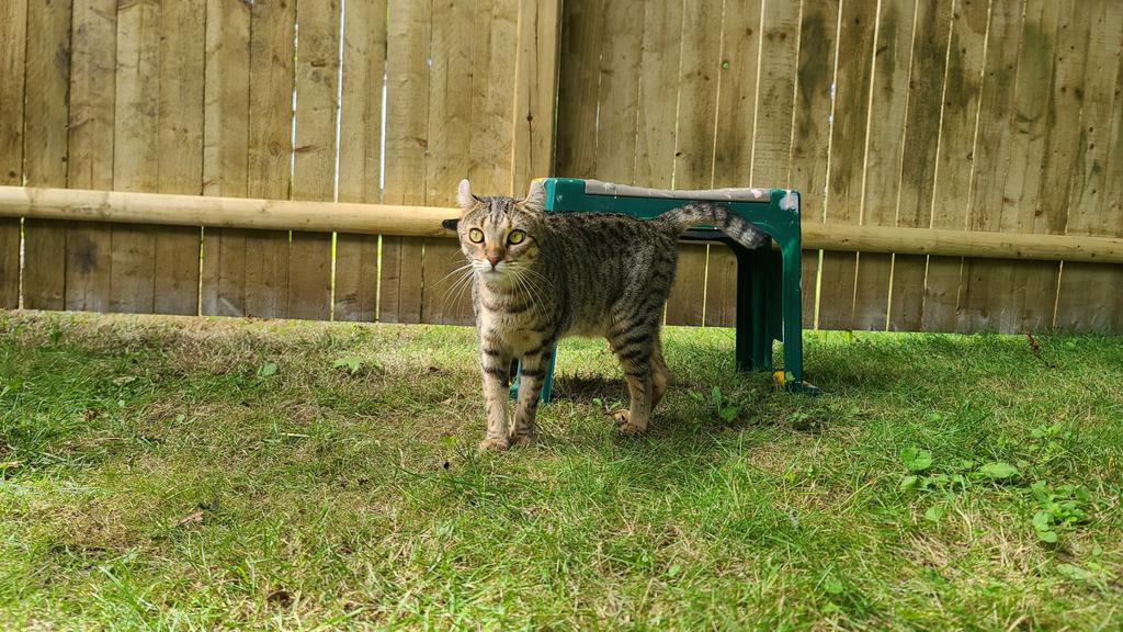 Long-Term Commitment & Special Considerations icon