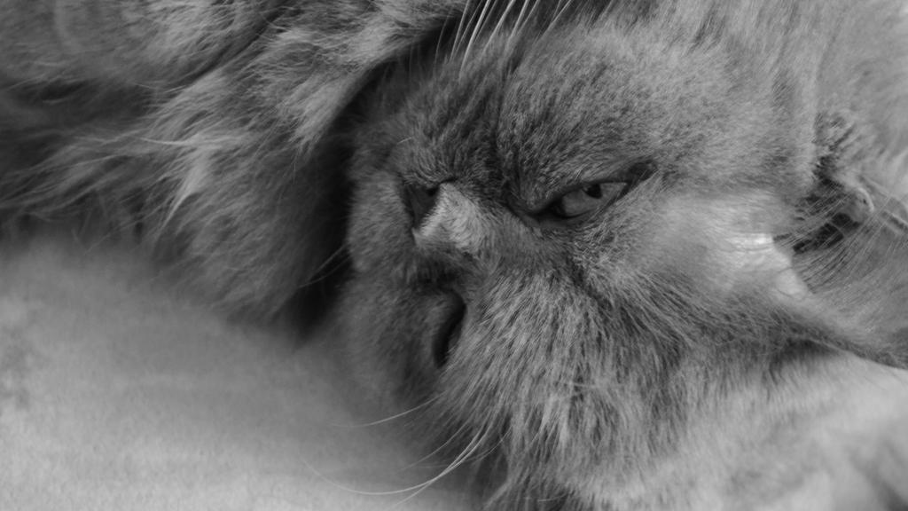 Financial Considerations icon