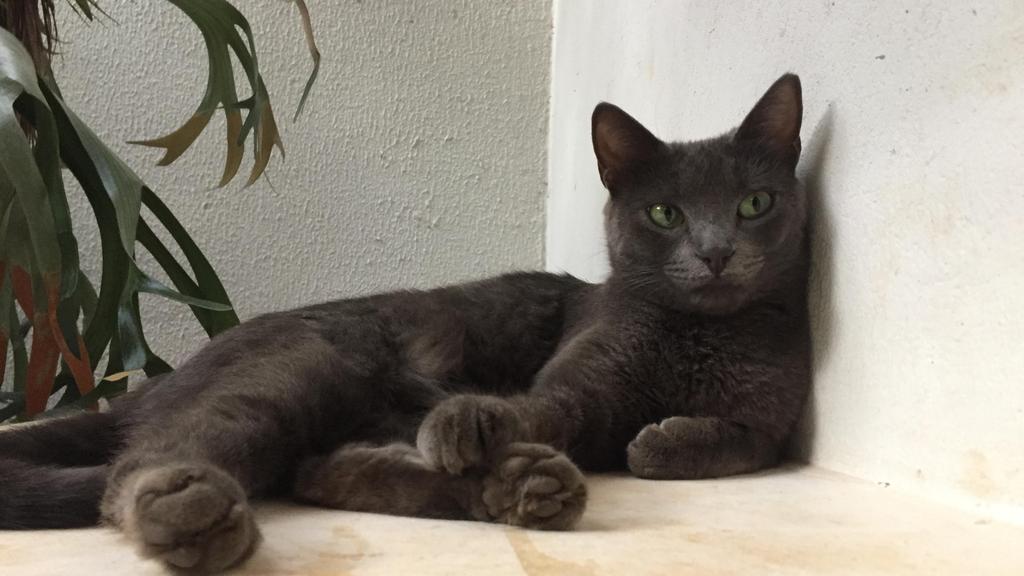 Life Stage Considerations icon