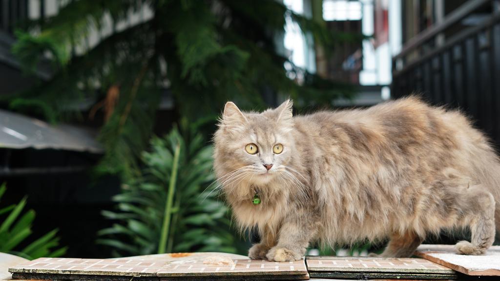 Financial Considerations icon