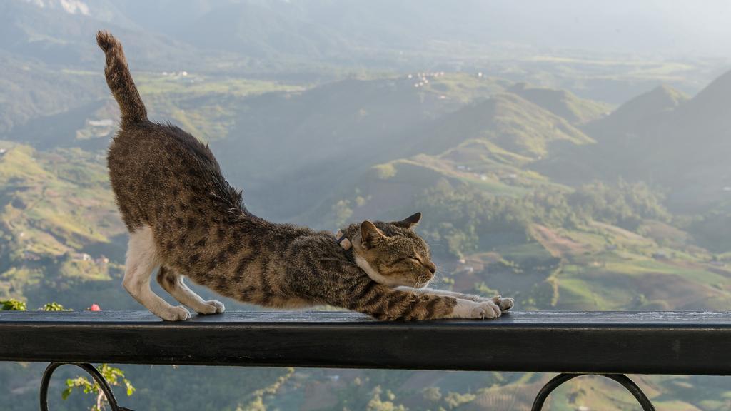 Financial Considerations icon