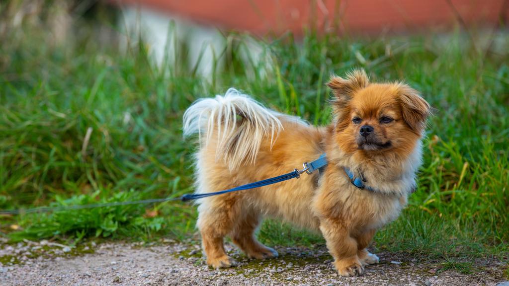 Financial Considerations icon