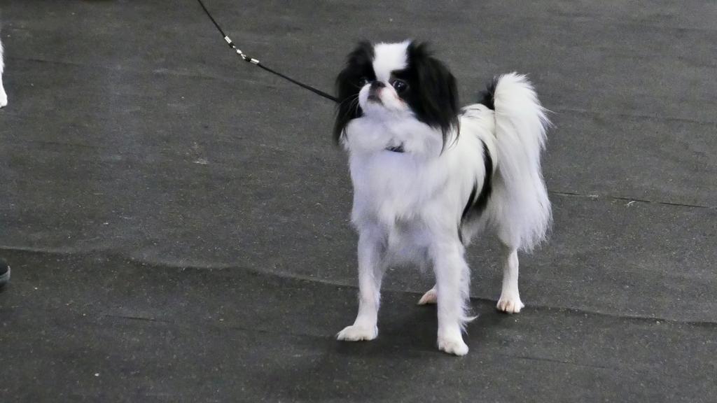 Long-Term Commitment & Special Considerations icon