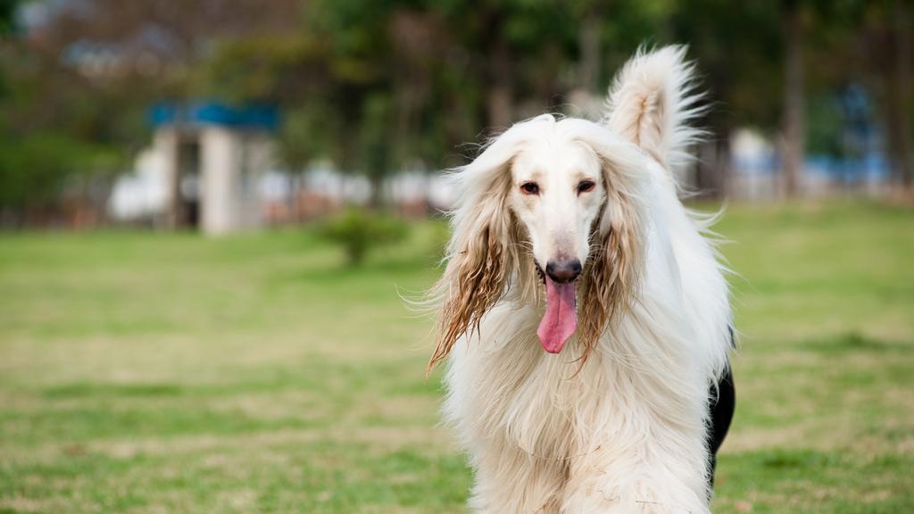 Living Environment Adaptability icon