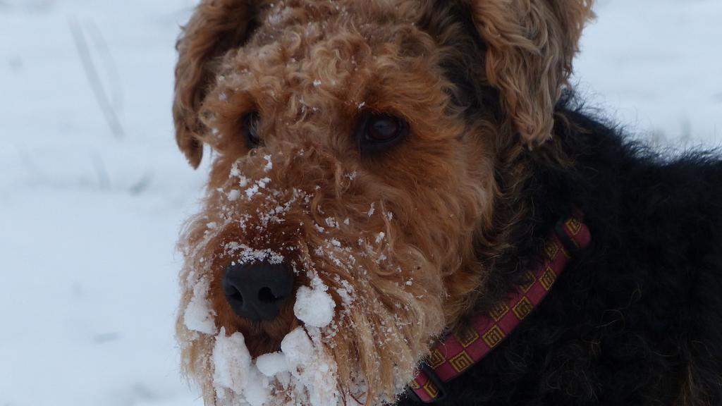 Exercise & Activity Needs icon