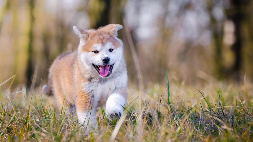 Financial Considerations icon