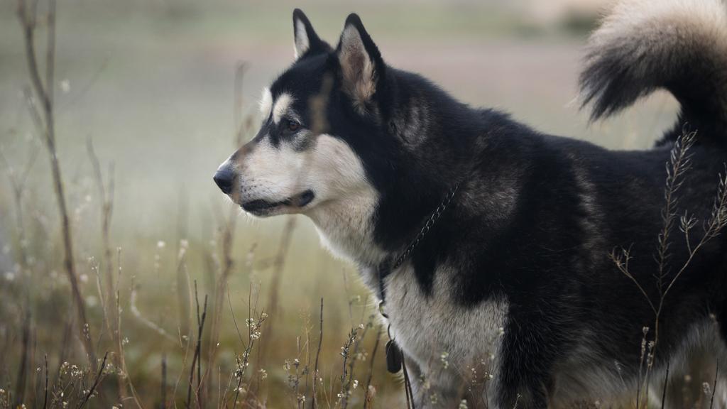 Long-Term Commitment & Special Considerations icon