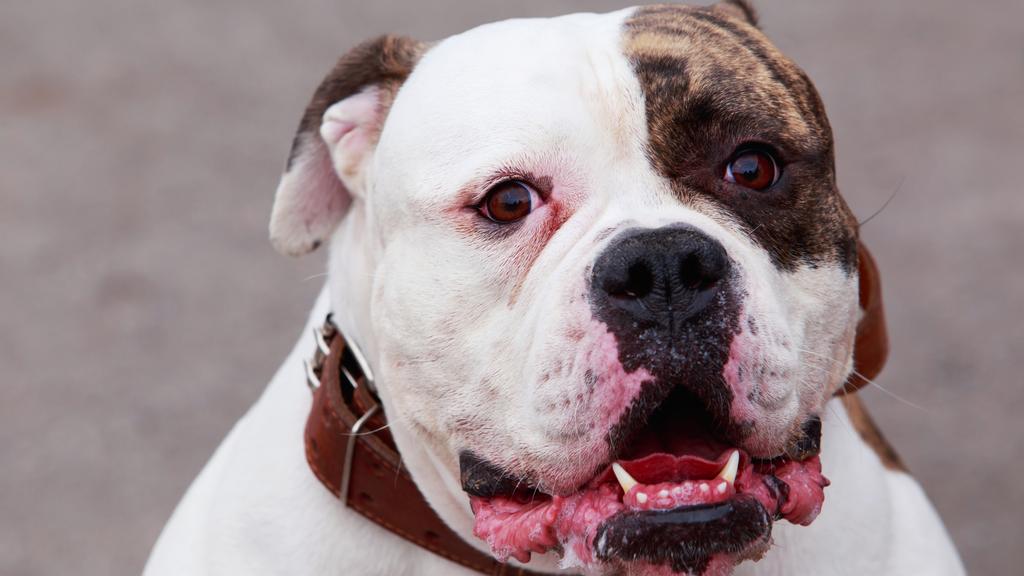 Life Stage Considerations icon