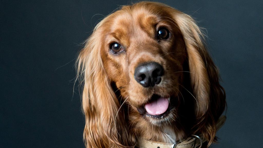 Living Environment Adaptability icon