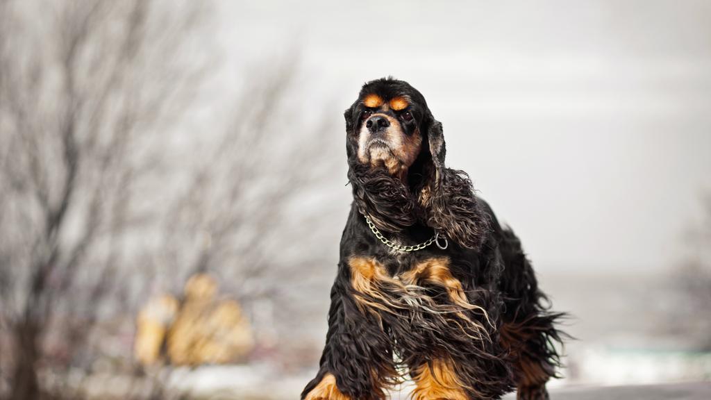 Basic Information icon