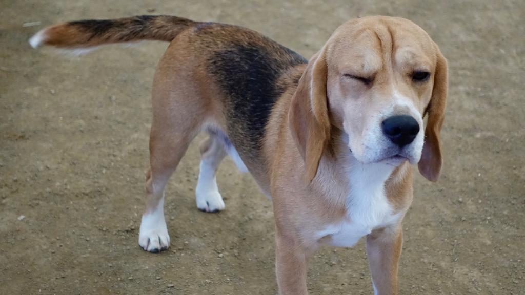 Long-Term Commitment & Special Considerations icon