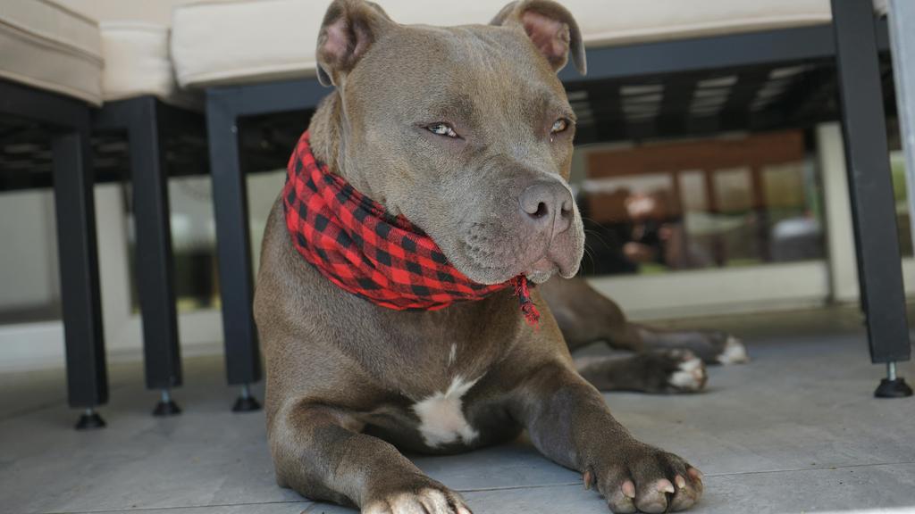 Living Environment Adaptability icon