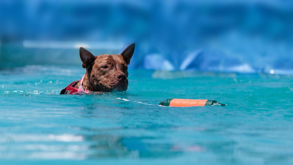 Life Stage Considerations icon