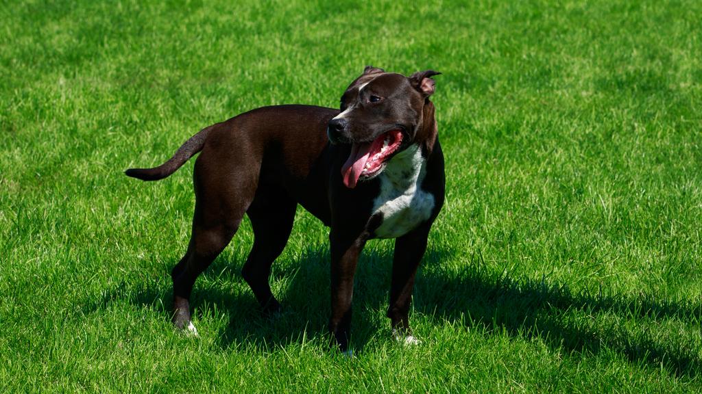 Financial Considerations icon