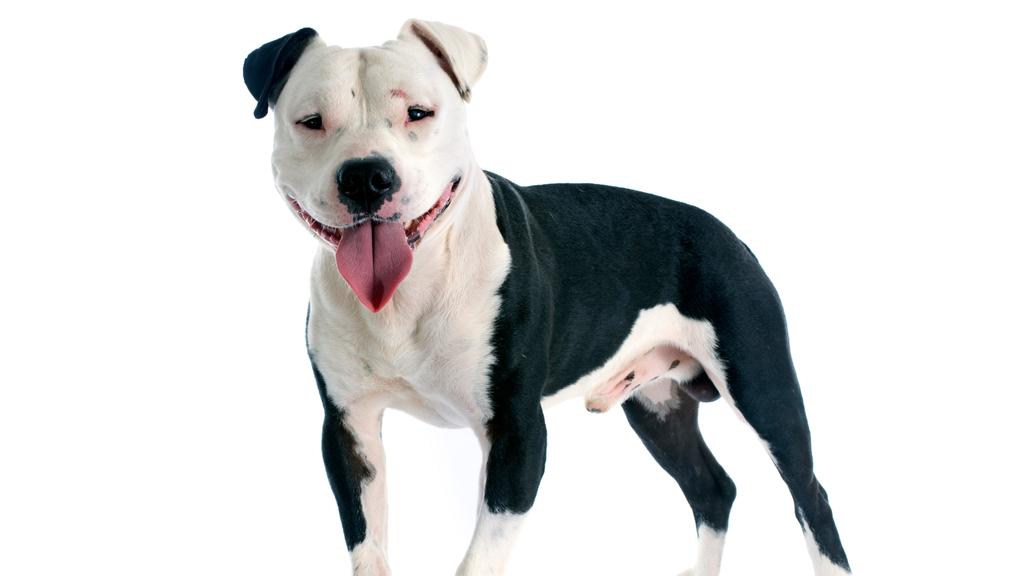 Exercise & Activity Needs icon