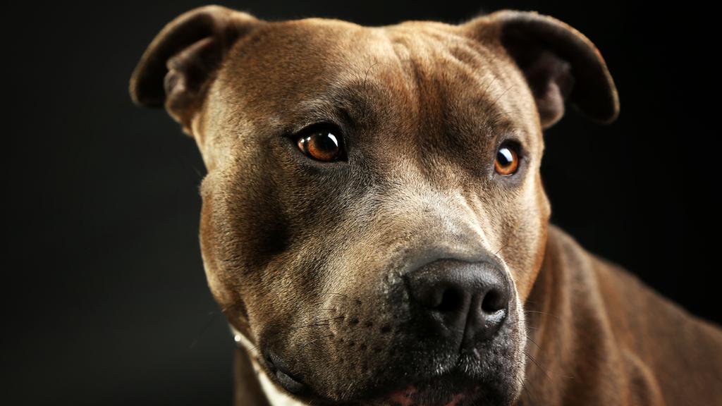 Living Environment Adaptability icon