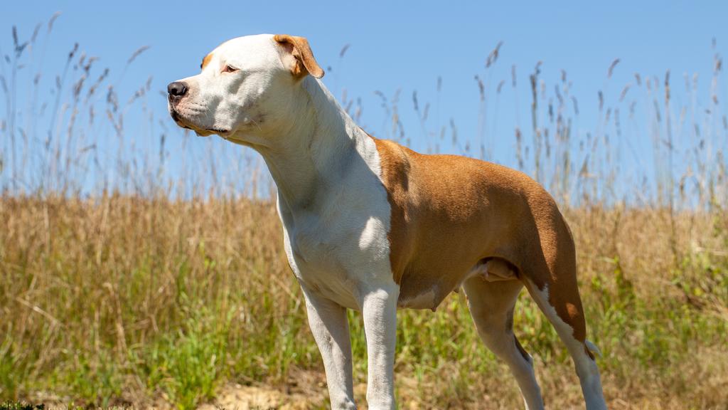 Long-Term Commitment & Special Considerations icon