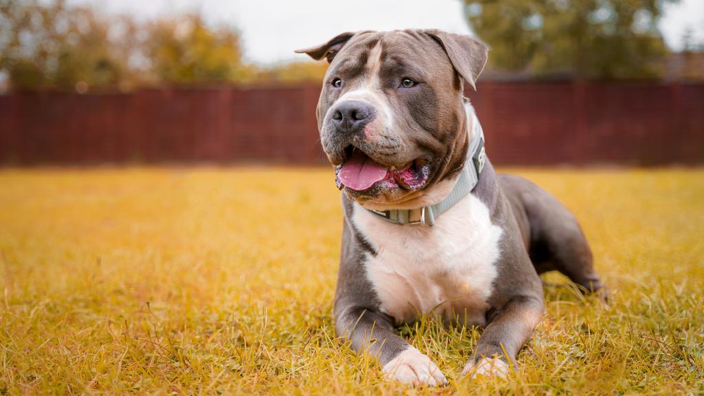 Long-Term Commitment & Special Considerations icon