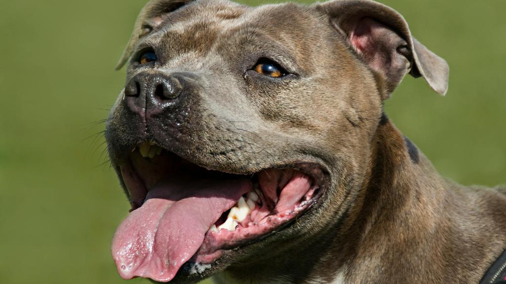 Basic Information icon