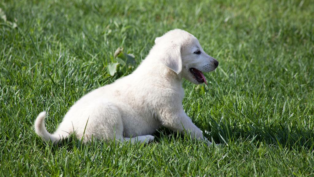 Life Stage Considerations icon