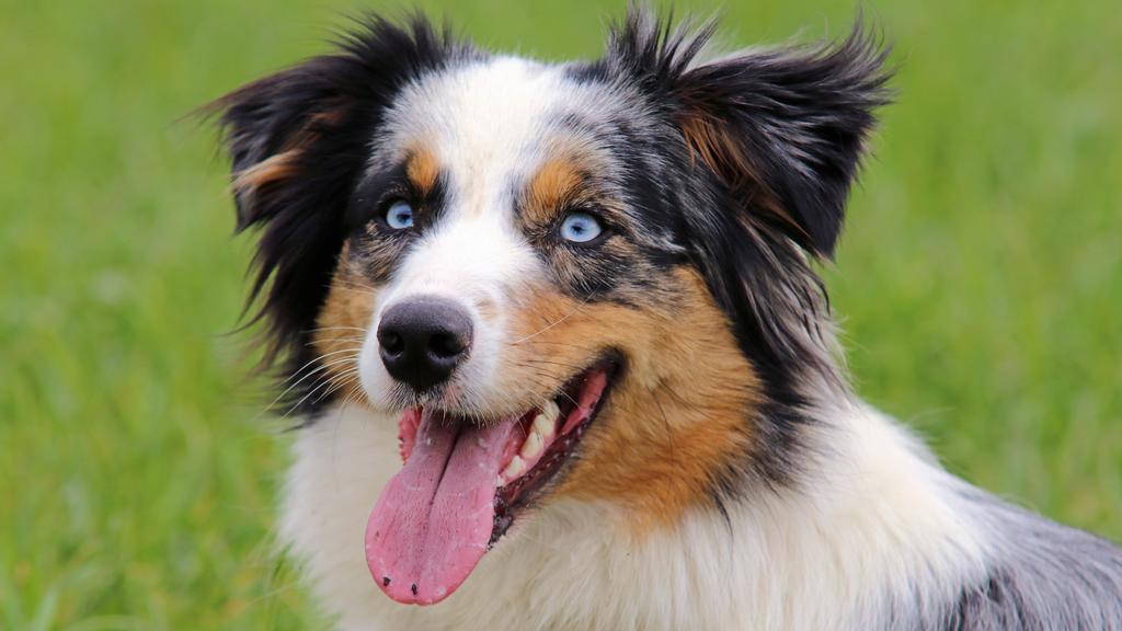 Life Stage Considerations icon