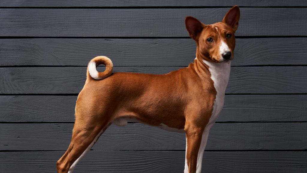 Financial Considerations icon