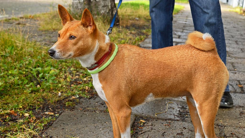 Long-Term Commitment & Special Considerations icon