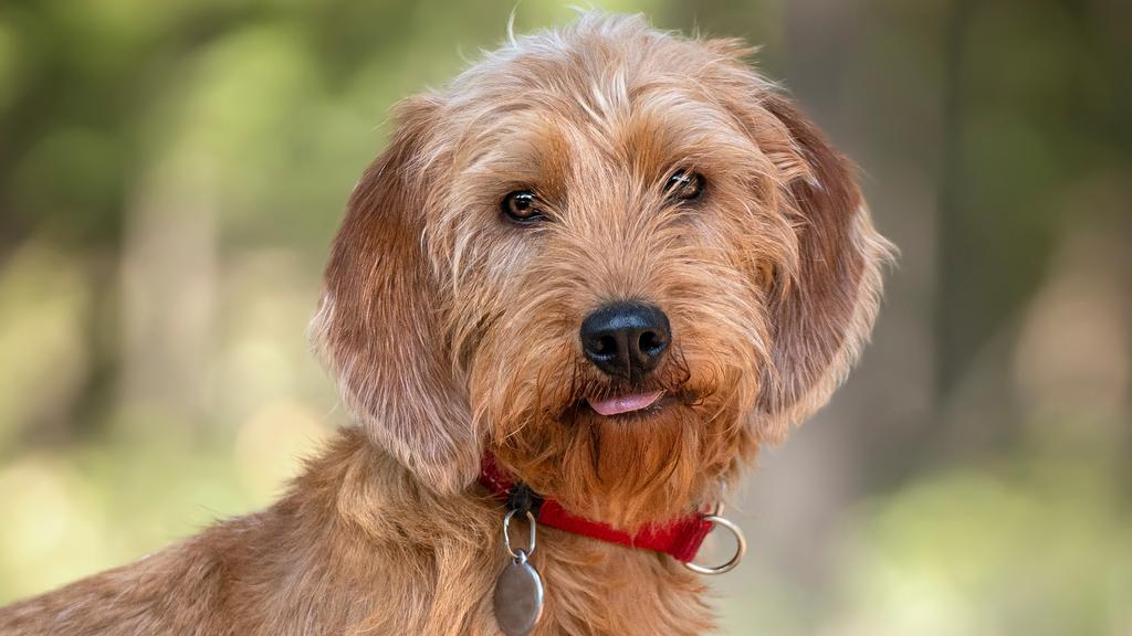 Life Stage Considerations icon