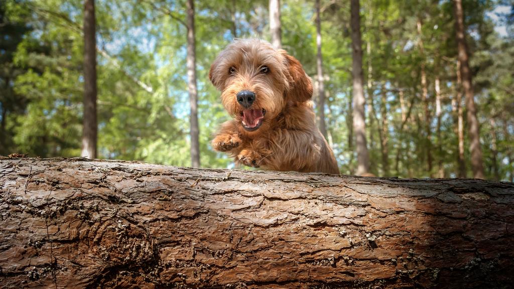 Financial Considerations icon