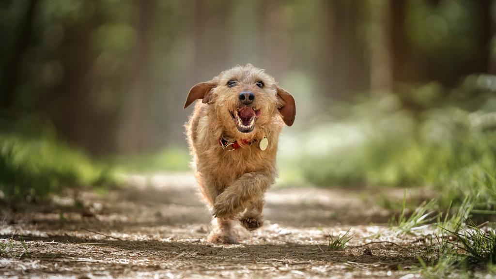 Long-Term Commitment & Special Considerations icon