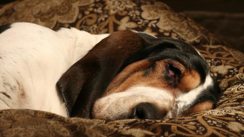 Long-Term Commitment & Special Considerations icon