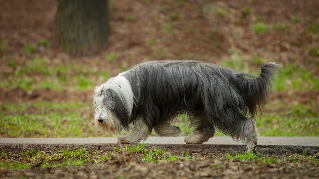 Life Stage Considerations icon