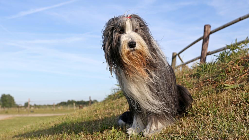 Financial Considerations icon