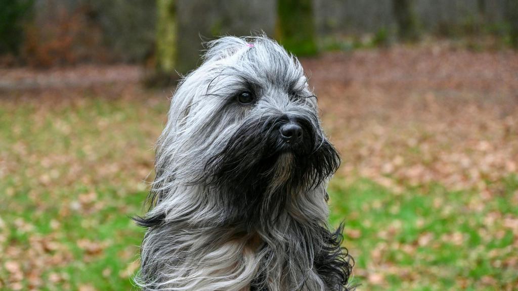 Long-Term Commitment & Special Considerations icon