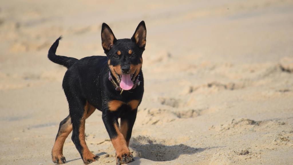 Long-Term Commitment & Special Considerations icon