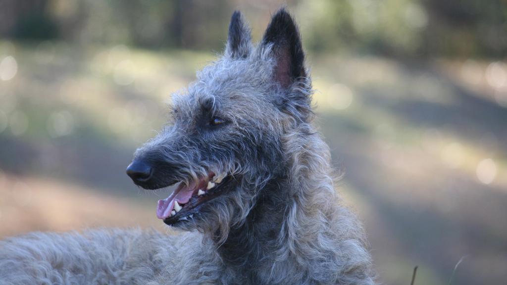 Long-Term Commitment & Special Considerations icon