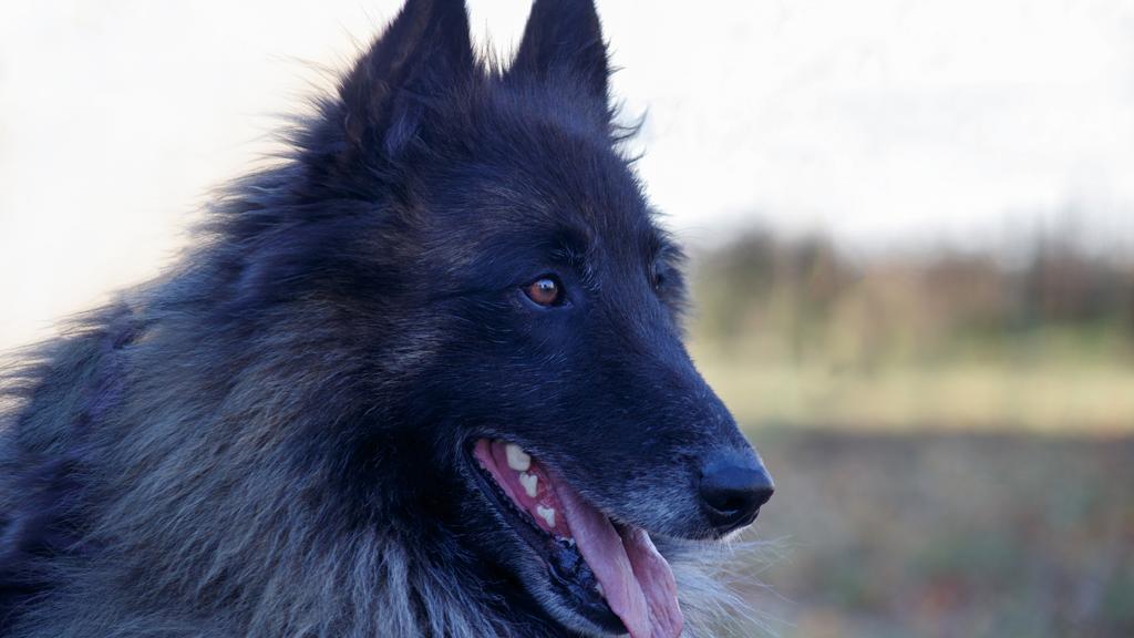 Financial Considerations icon