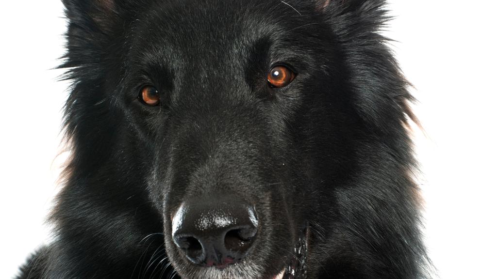 Living Environment Adaptability icon